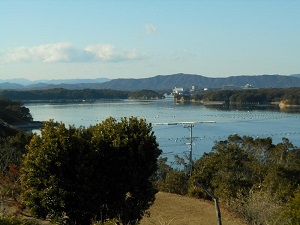 英虞湾が一望