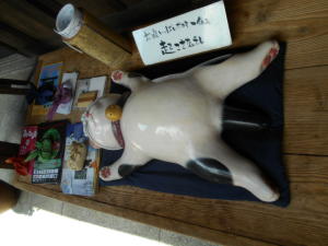 寝る猫？