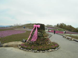 芝桜のドレス