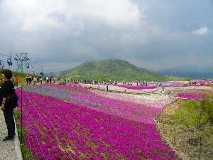 ō