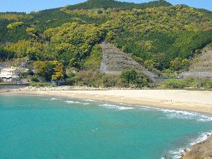 Ｒ３１１の海岸美