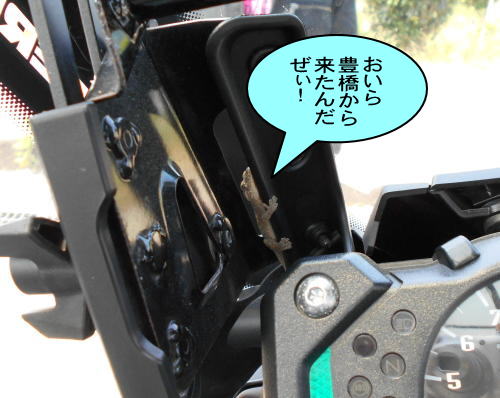 ヤモリが巣くうカウル内