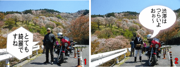 吉野山の途中で断念