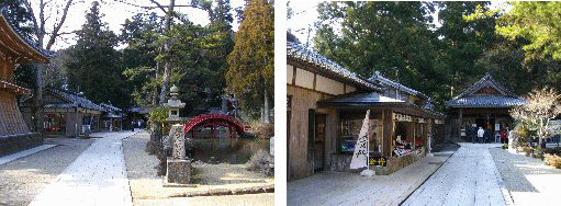 金剛證寺参拝
