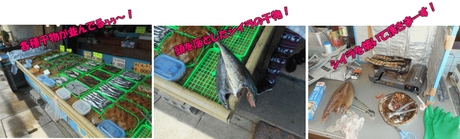 干物購入と試食