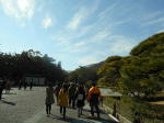 神宮参道