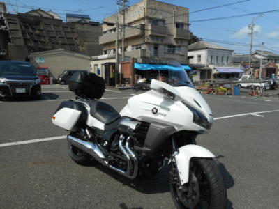 魚武をバックに