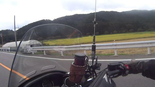 黄金色の田んぼが広がる