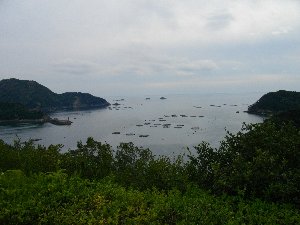 錦湾が一望だ