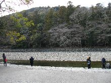 五十鈴川で手をあらう