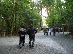 玉砂利を踏みしめて