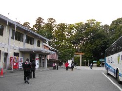 森の向こうに神社あり