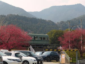 普通列車