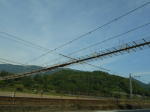 見上げる吊り橋