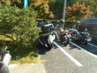 頭から入れてしまった