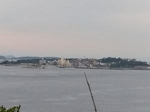 日間賀島？？