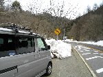 炬Xs
