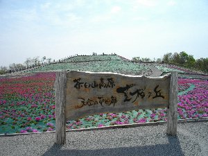 ō̋ũCŔ