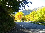 温泉街の通り