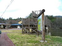 美女高原へ迷い込む