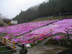 結構綺麗です