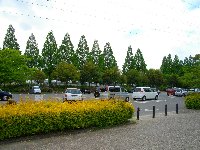 ピクニック広場に近い駐車場