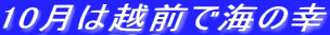 10͉zOŊC̍K
