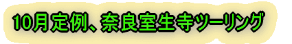 10Aޗǎc[O 