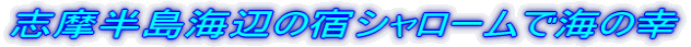 uCӂ̏hV[ŊC̍K