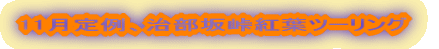 11A⓻gtc[O 