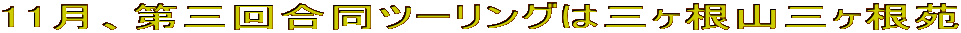 11AO񍇓c[O͎ORO