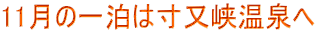 11̈ꔑ͐