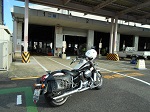Ԍ