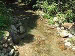 小川が流れる