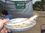 美味しいお魚